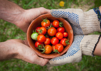 Je découvre l'échange participatif